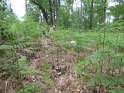 2018-05-24 15-16-03  Rando Fontainebleau FGn